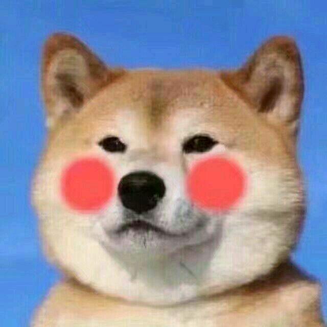 🌈Wʚʕ̯•͡˔•̯᷅ʔɞ