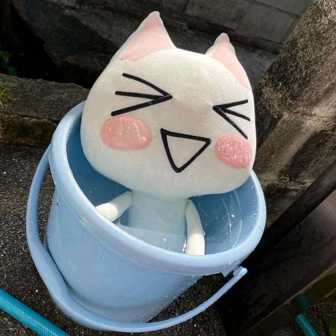 涼
