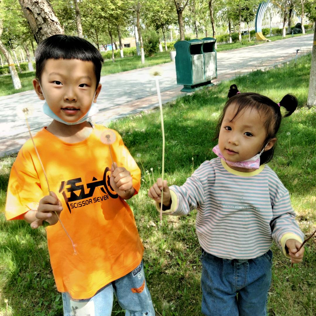 专业吊顶