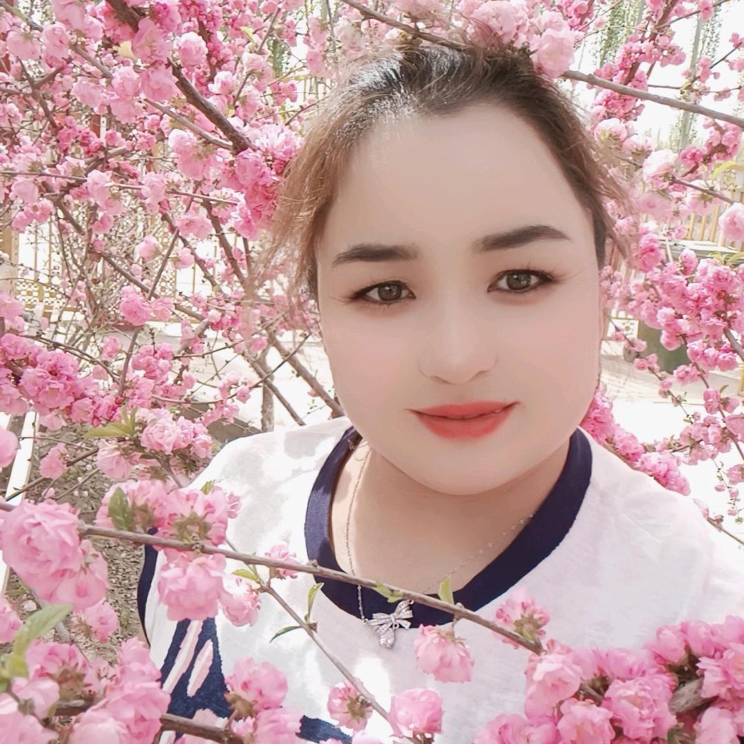 阿米娜木GULLEN