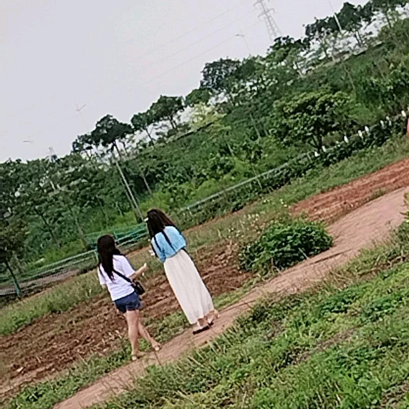胡多多