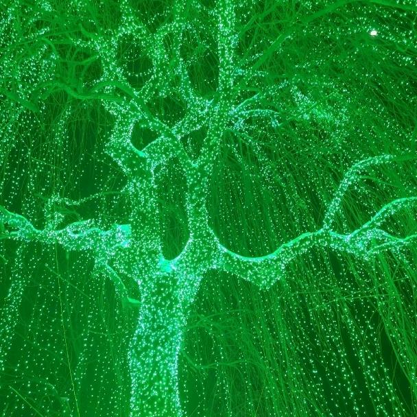 努力拼搏奋斗   加油！！！