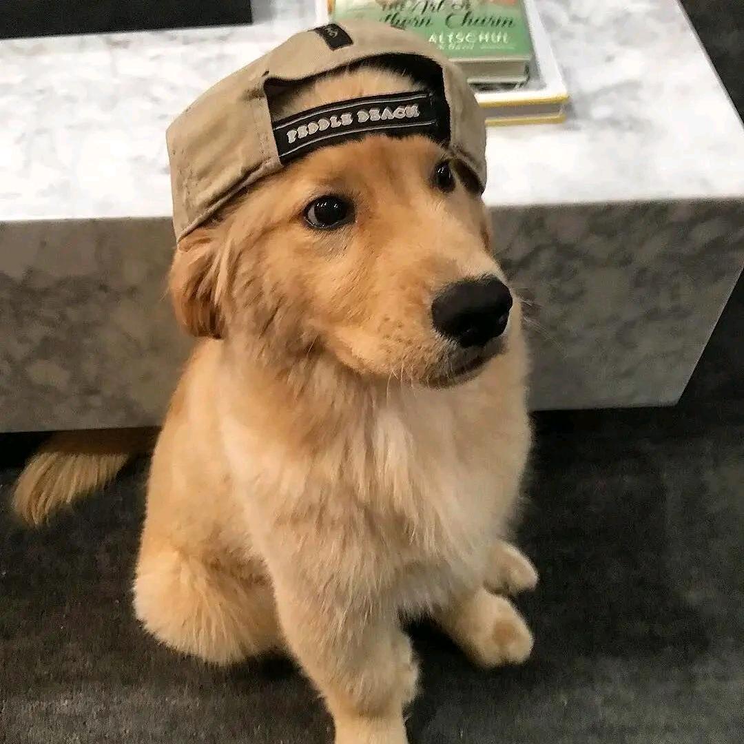 忘忧！