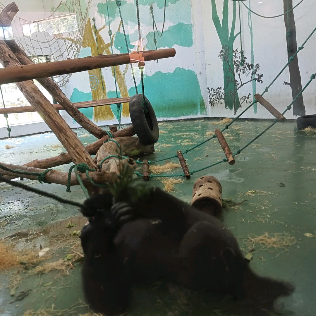 风云客