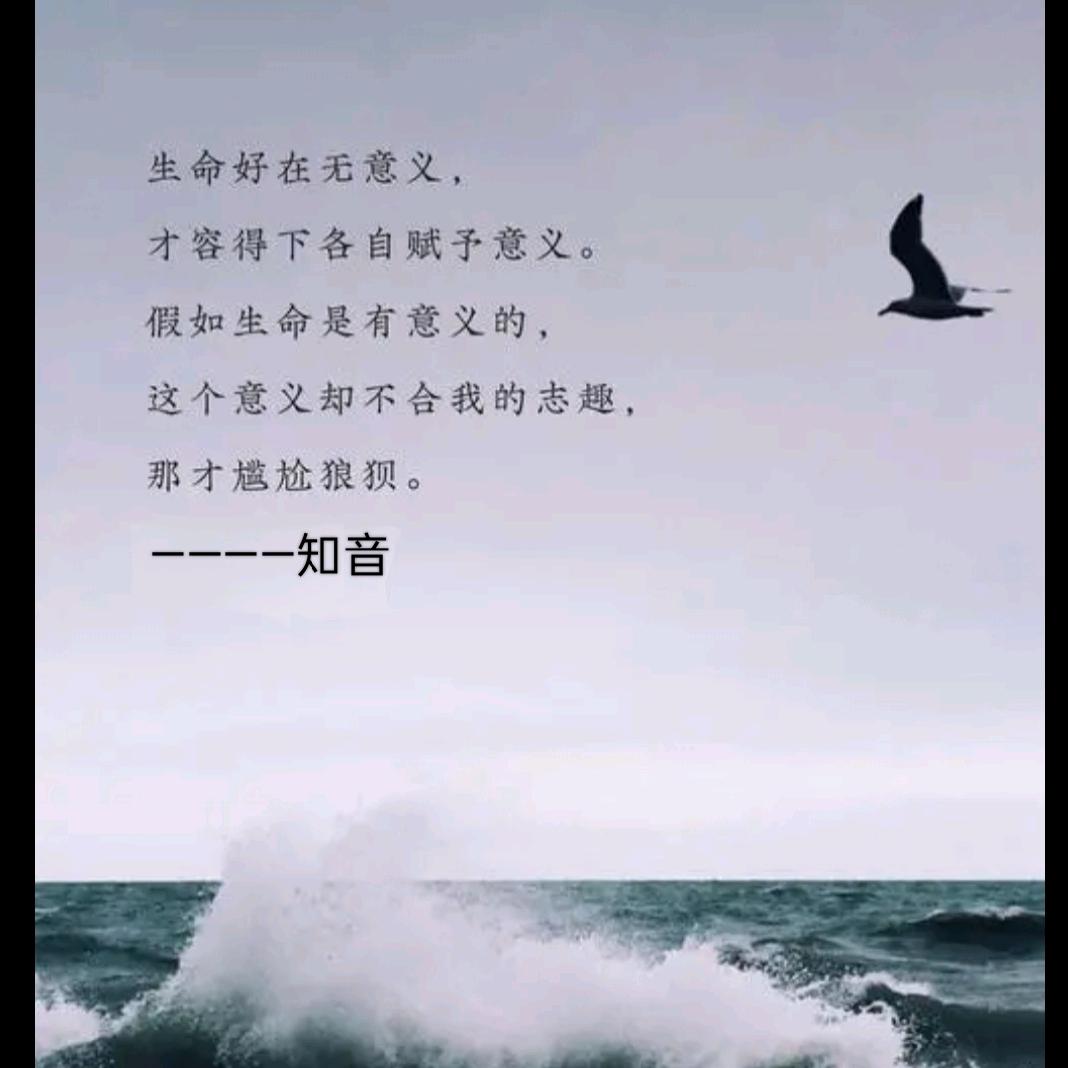 知音分享