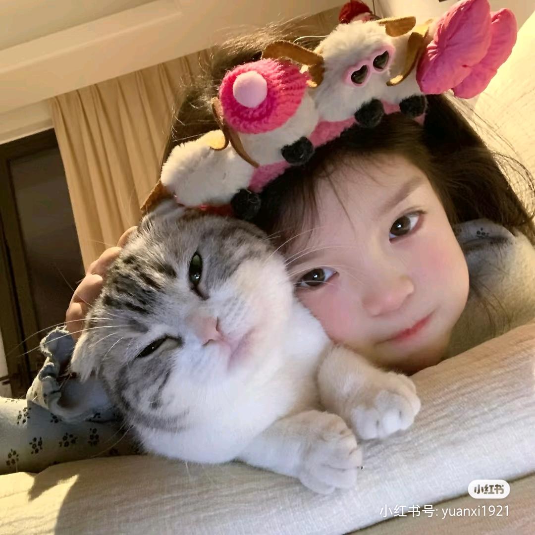 小狗.·