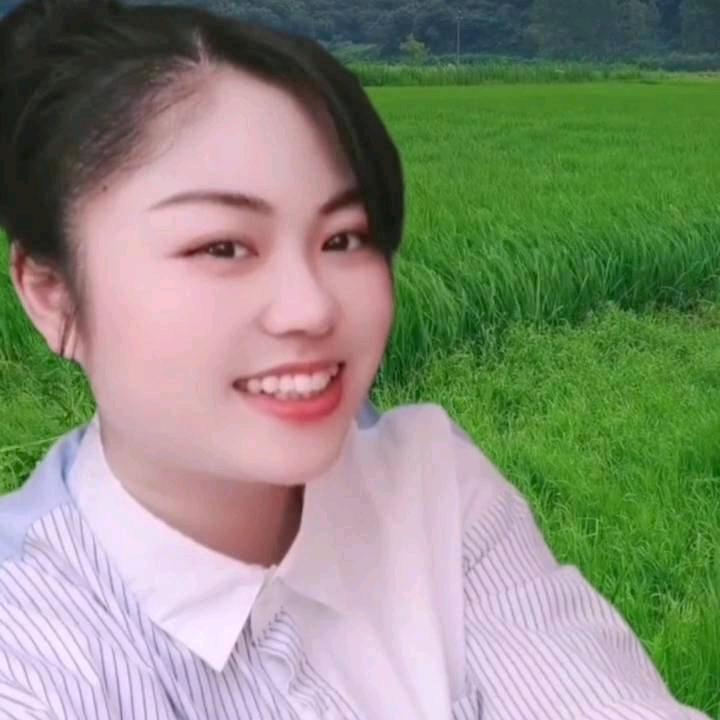 琴悦🌻