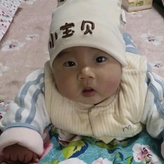 杨哥