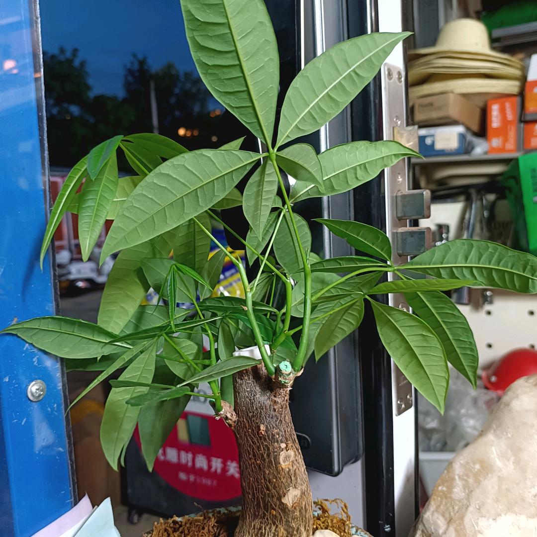 楚雄…老谢五金建材（二十年老店）