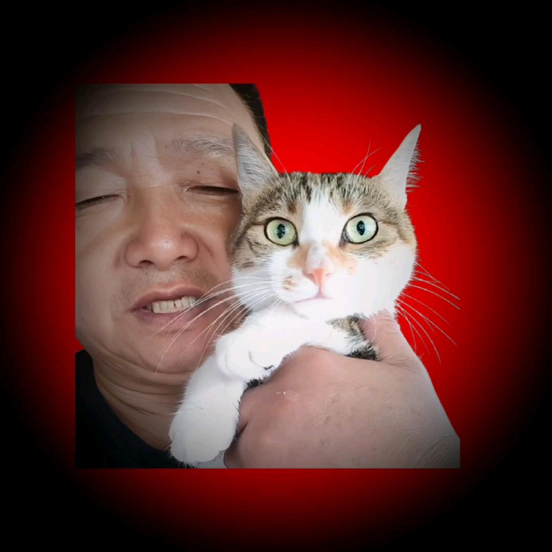 ༺ ۣۖ 卡车猫王  ۣۖ ༻