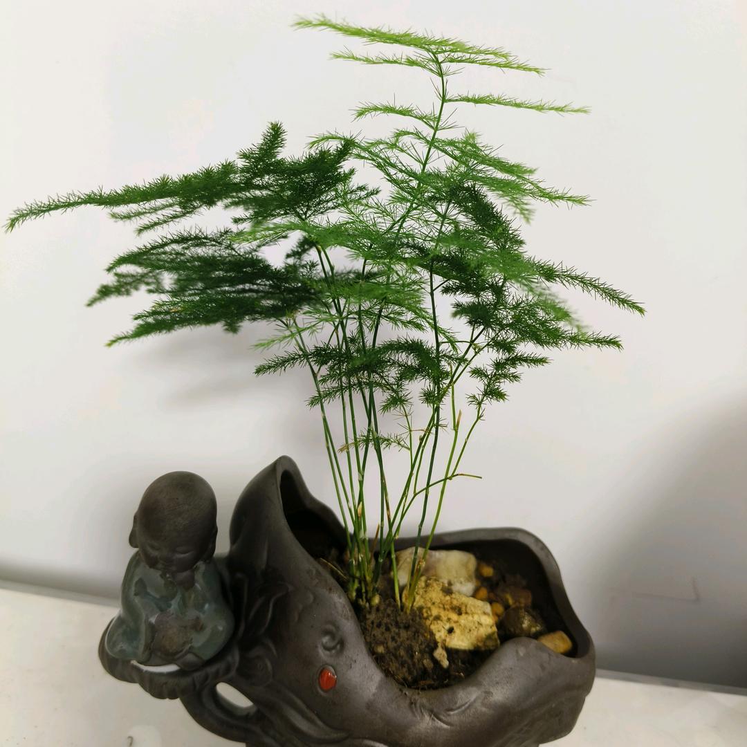 柒柒土菜馆