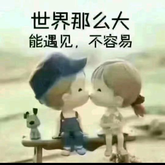 牛马的一生