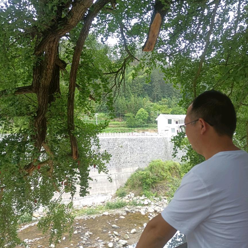 适合自己的才是最好的，不论是人，还是生活