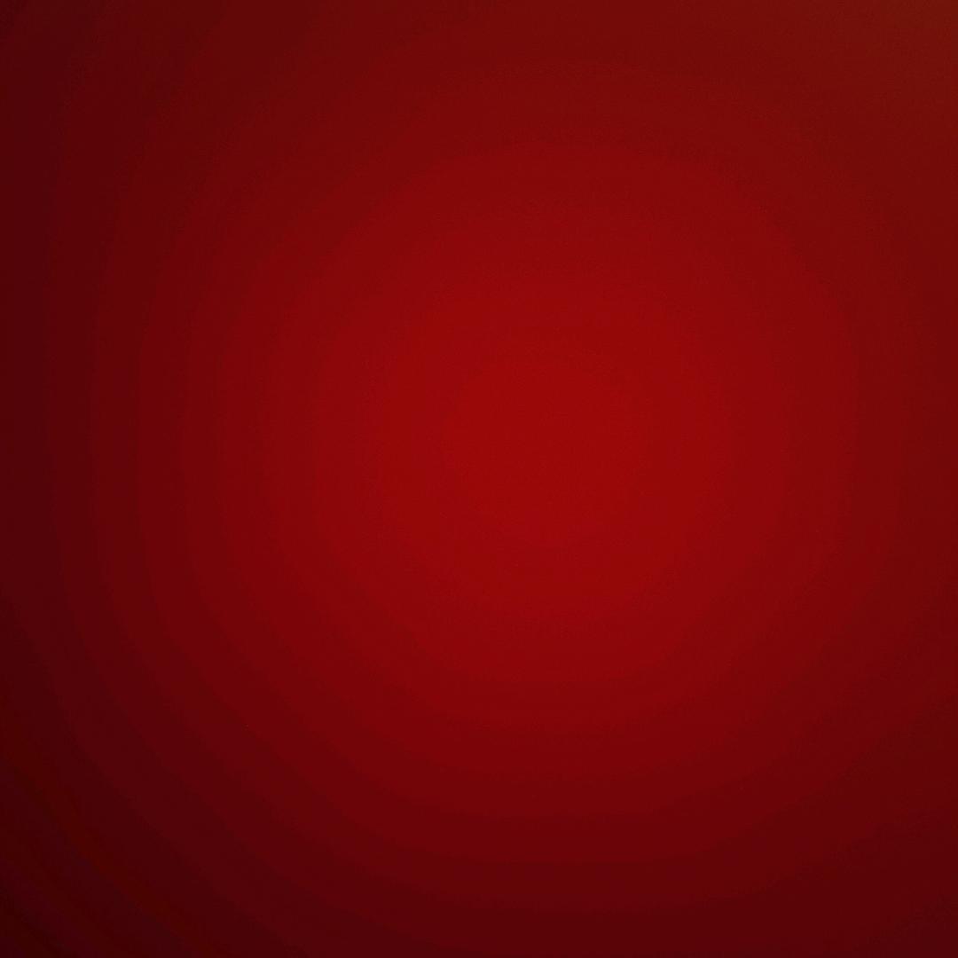 特遣队员