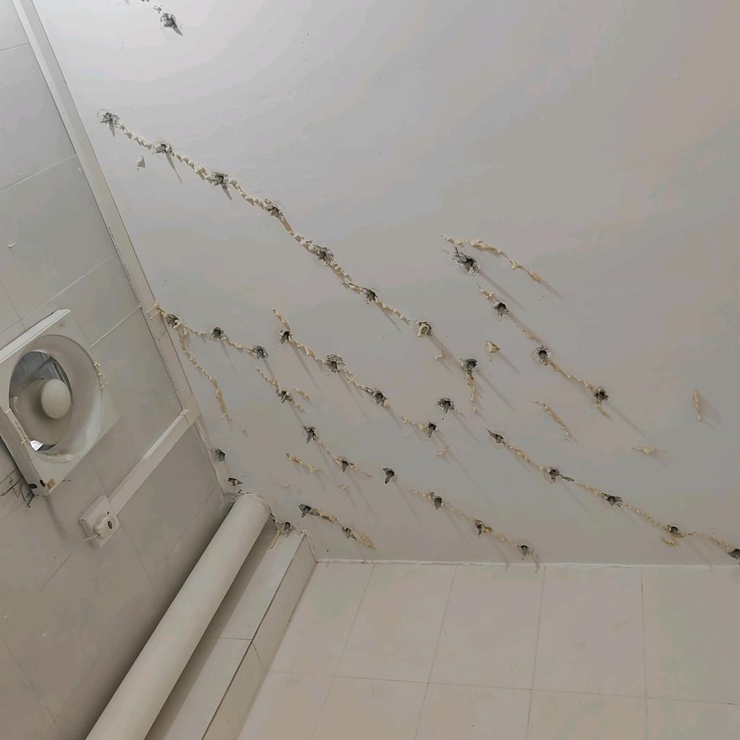 💕᭄ꦿ咖啡心ོ࿆语᭄☕️