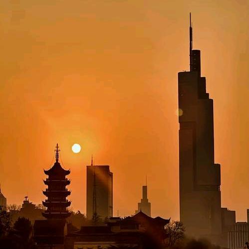 山东鞍马出行科技有限公司南京分公司