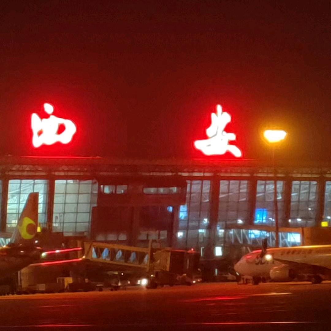 芦苇