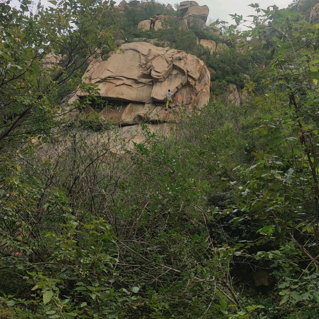 问问问头像