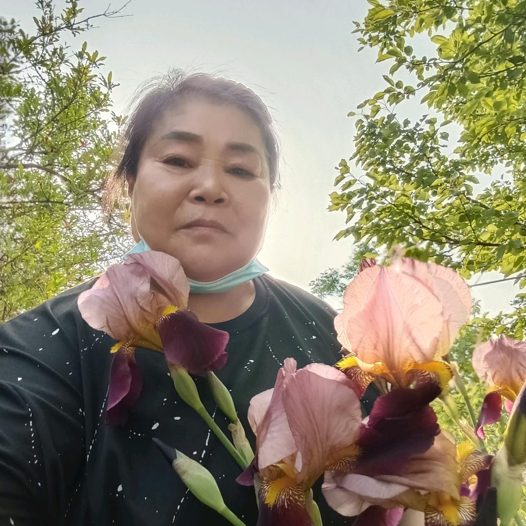 郑姐《安》橱窗好物