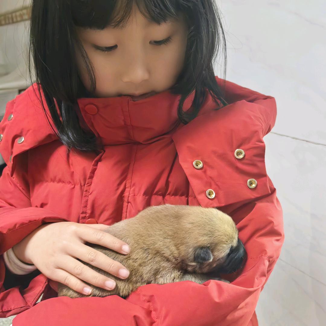 吱欧周