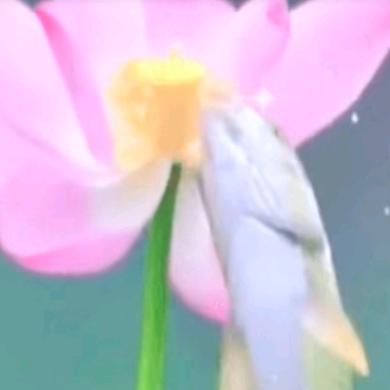 伊人