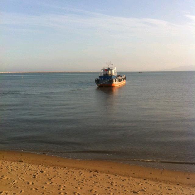 “陈”风破浪