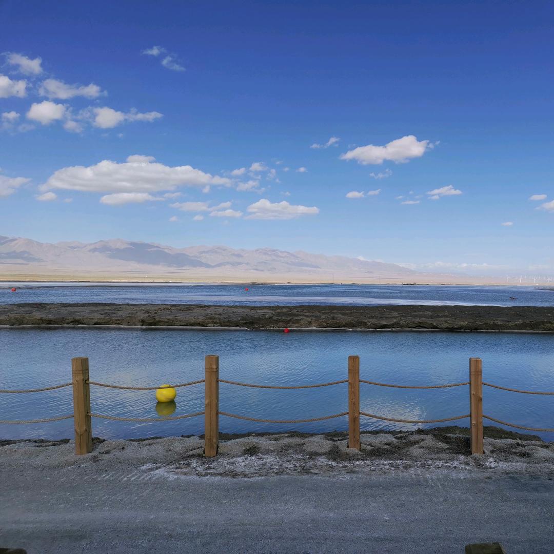 平顶山中医药--杨老师