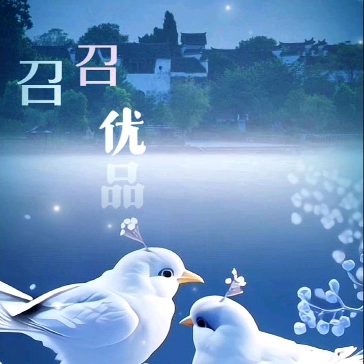 召召优品178❤️