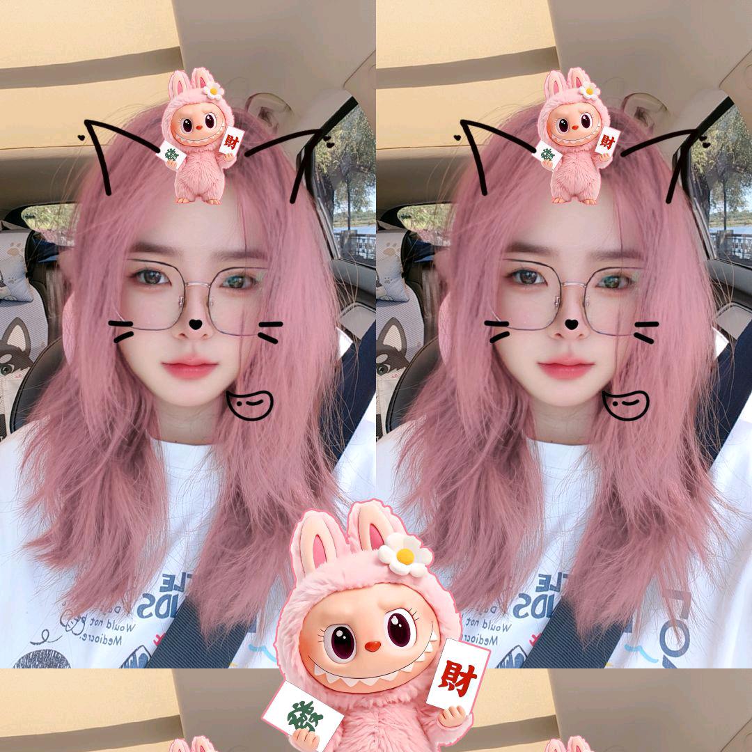 奶豆喵喵😼