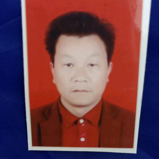 会飞的鱼