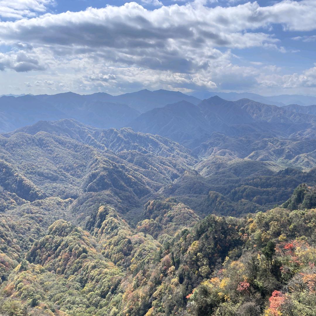 古城小弟