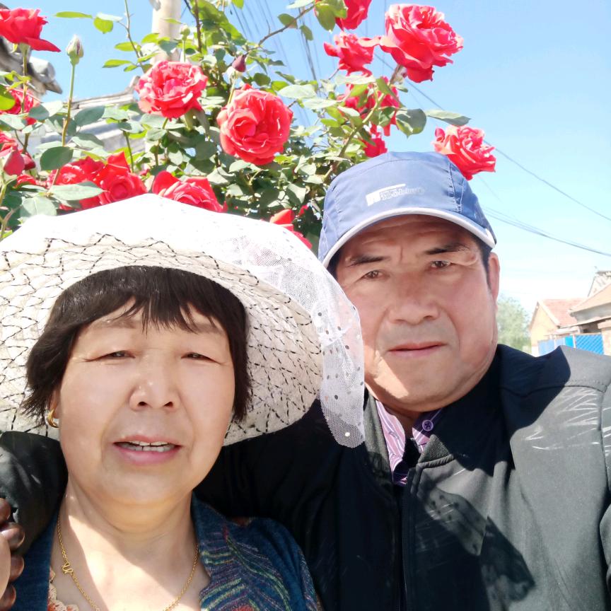 常青树