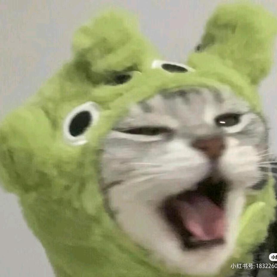 枝雾雨