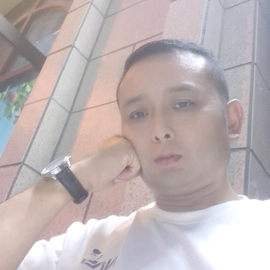 鹏飞