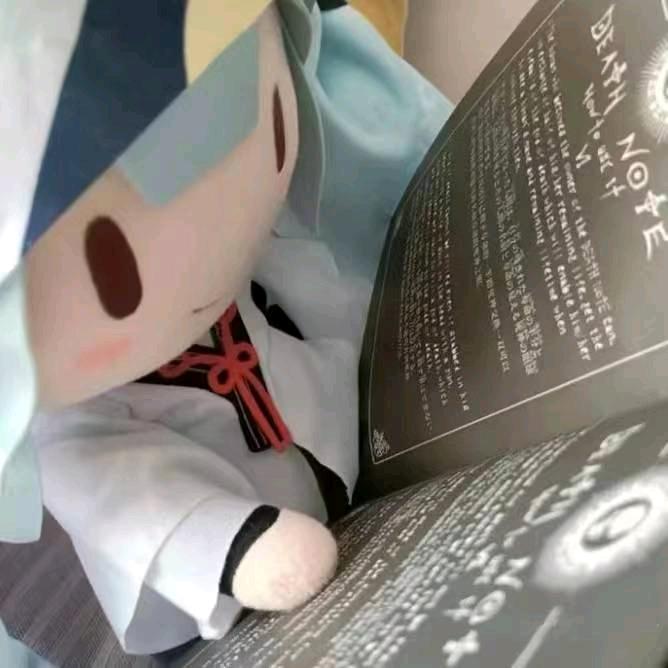 AAA火鸡面批发李总（静候放假回家版）