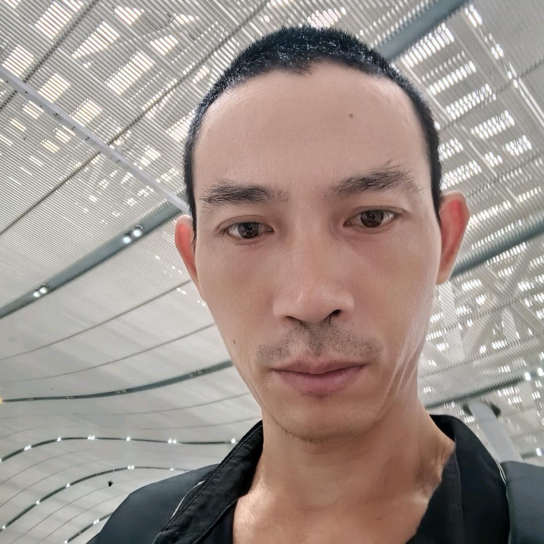 与狼共舞