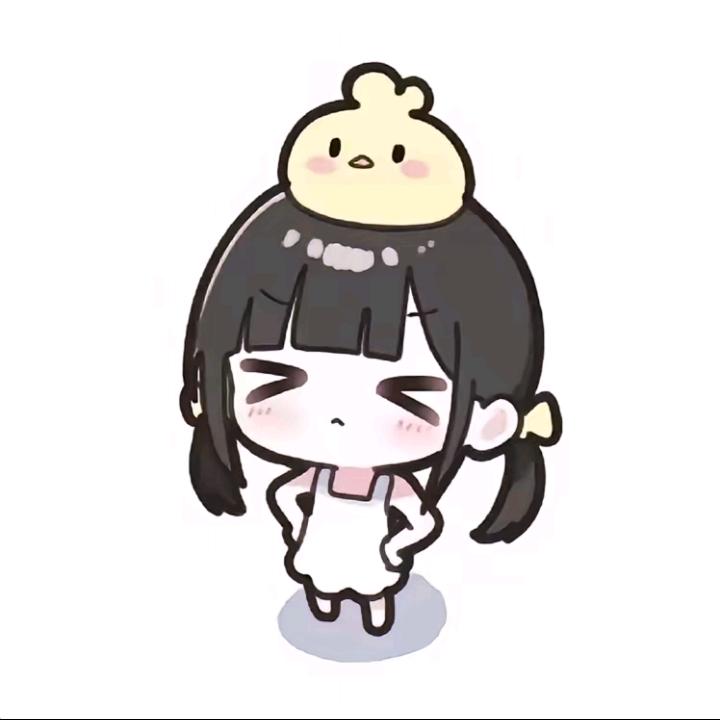 小Y