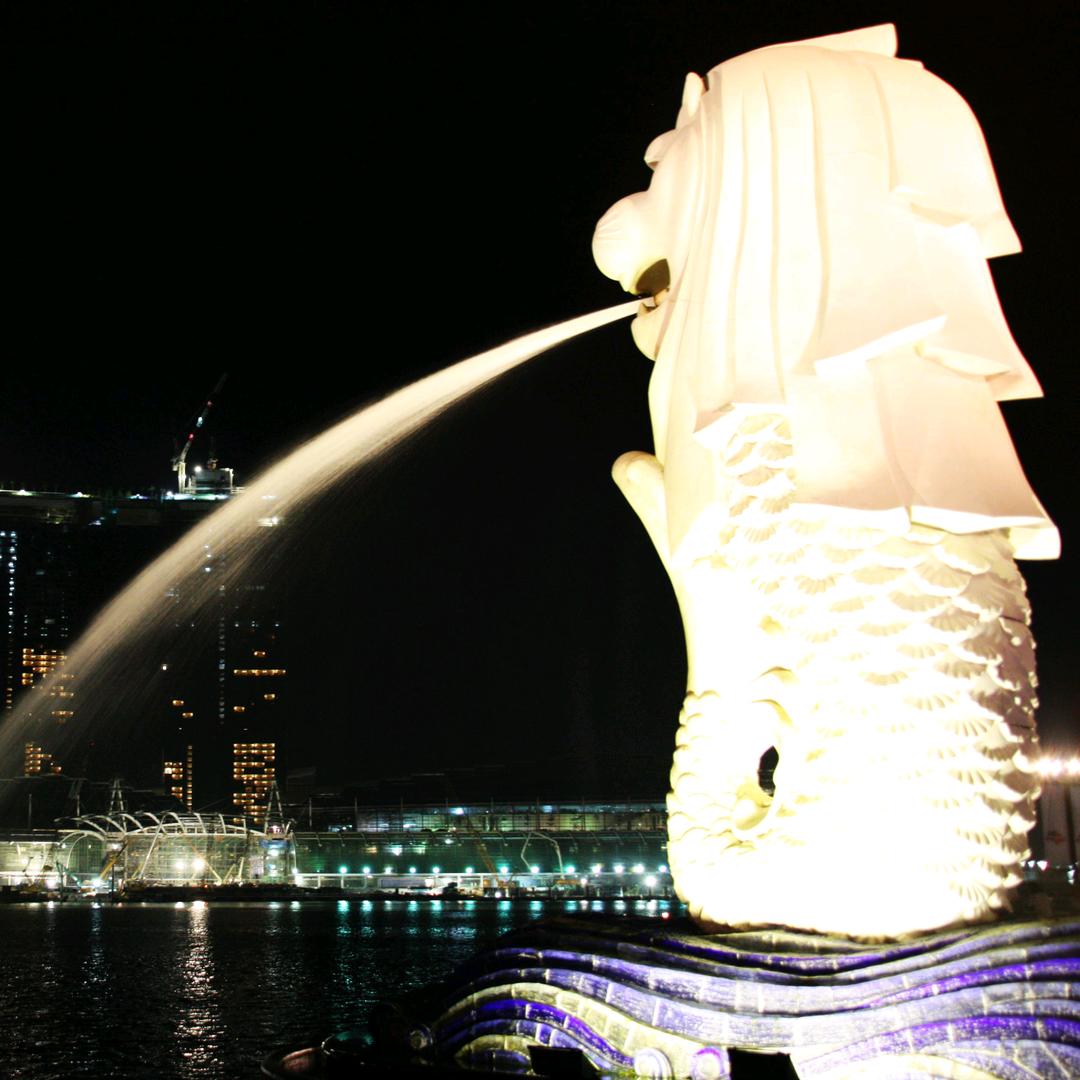 新加坡🇸🇬金沙公关-阿辰