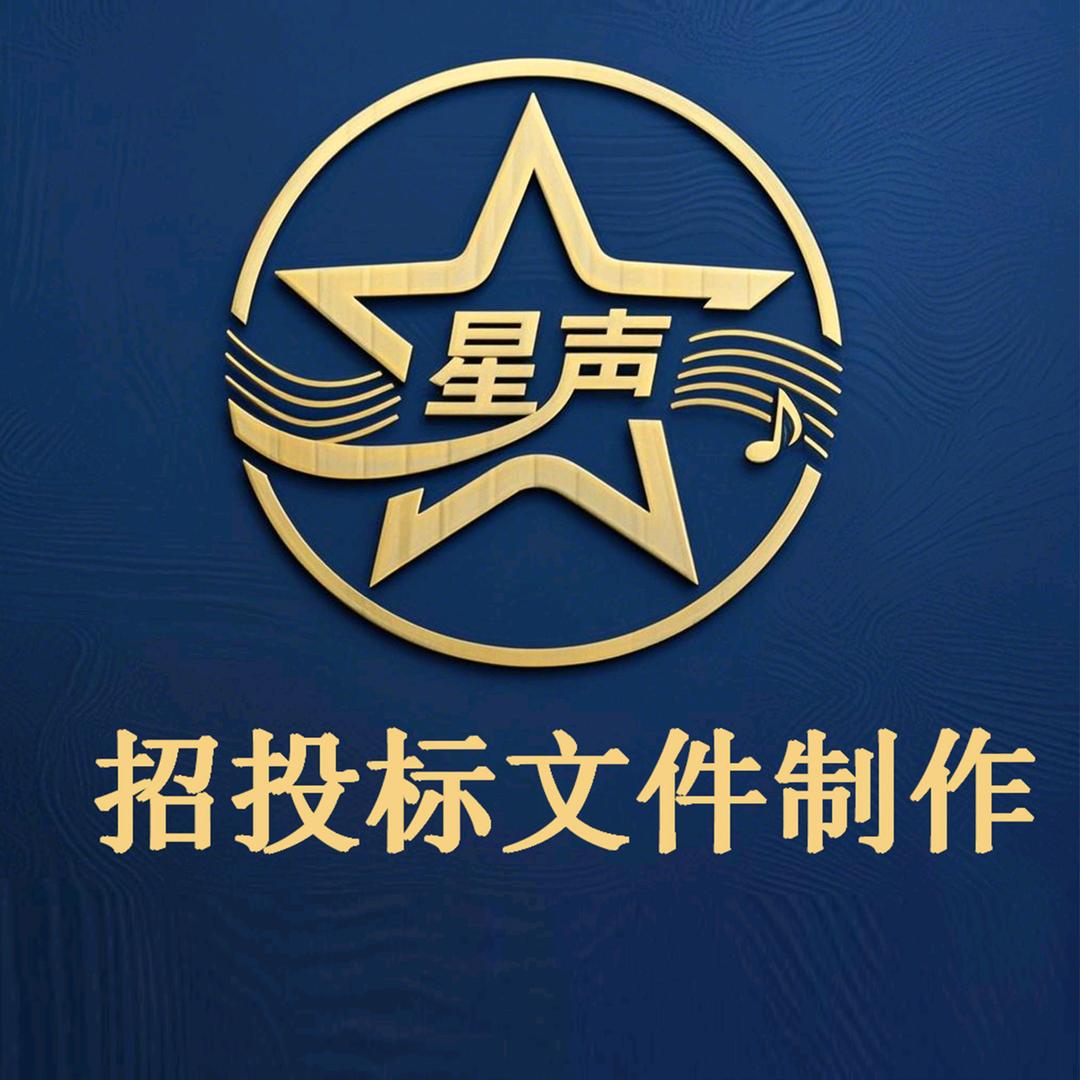 星声标书
