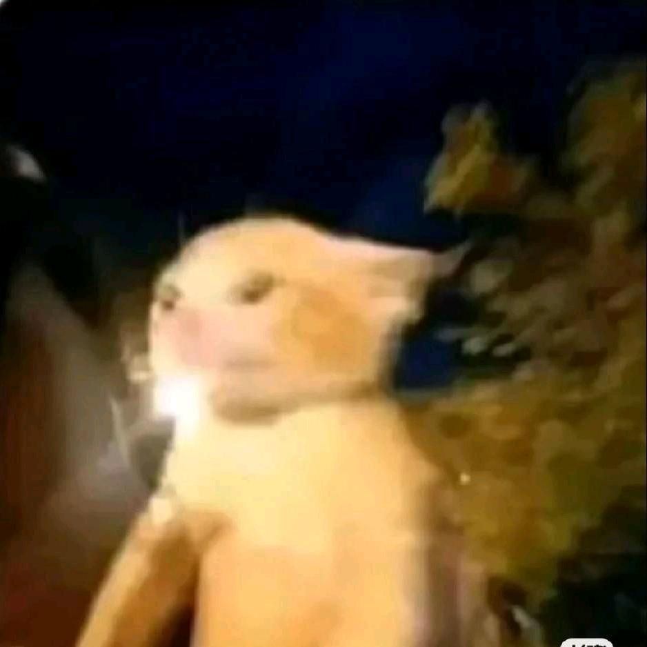 流畅不会画画