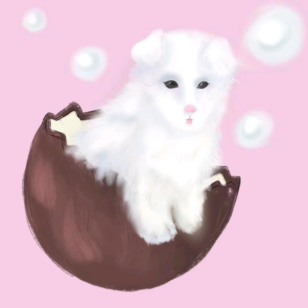 🌈椰果营销号🌈