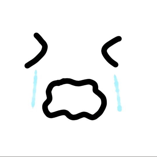 会飞的翔
