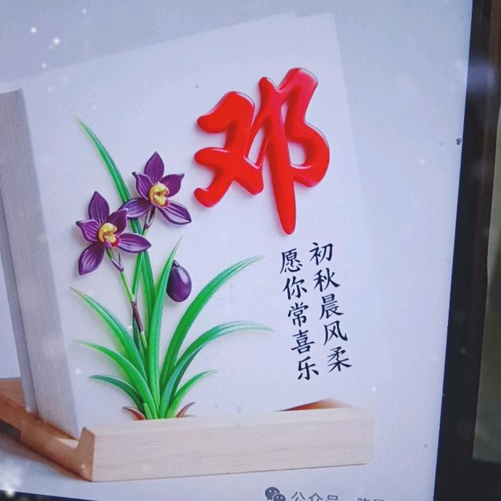 余生随意