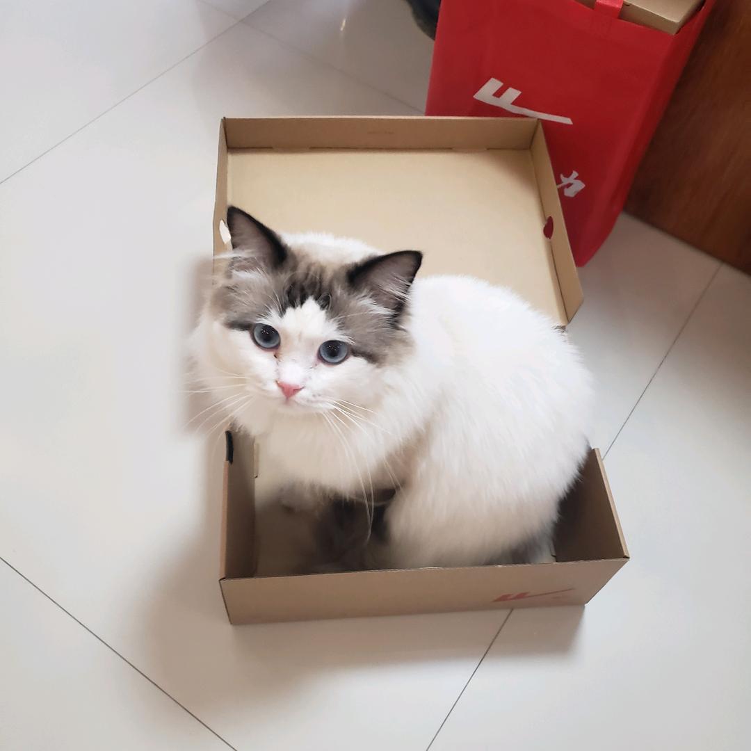 博林特畜牧养殖甄选好物