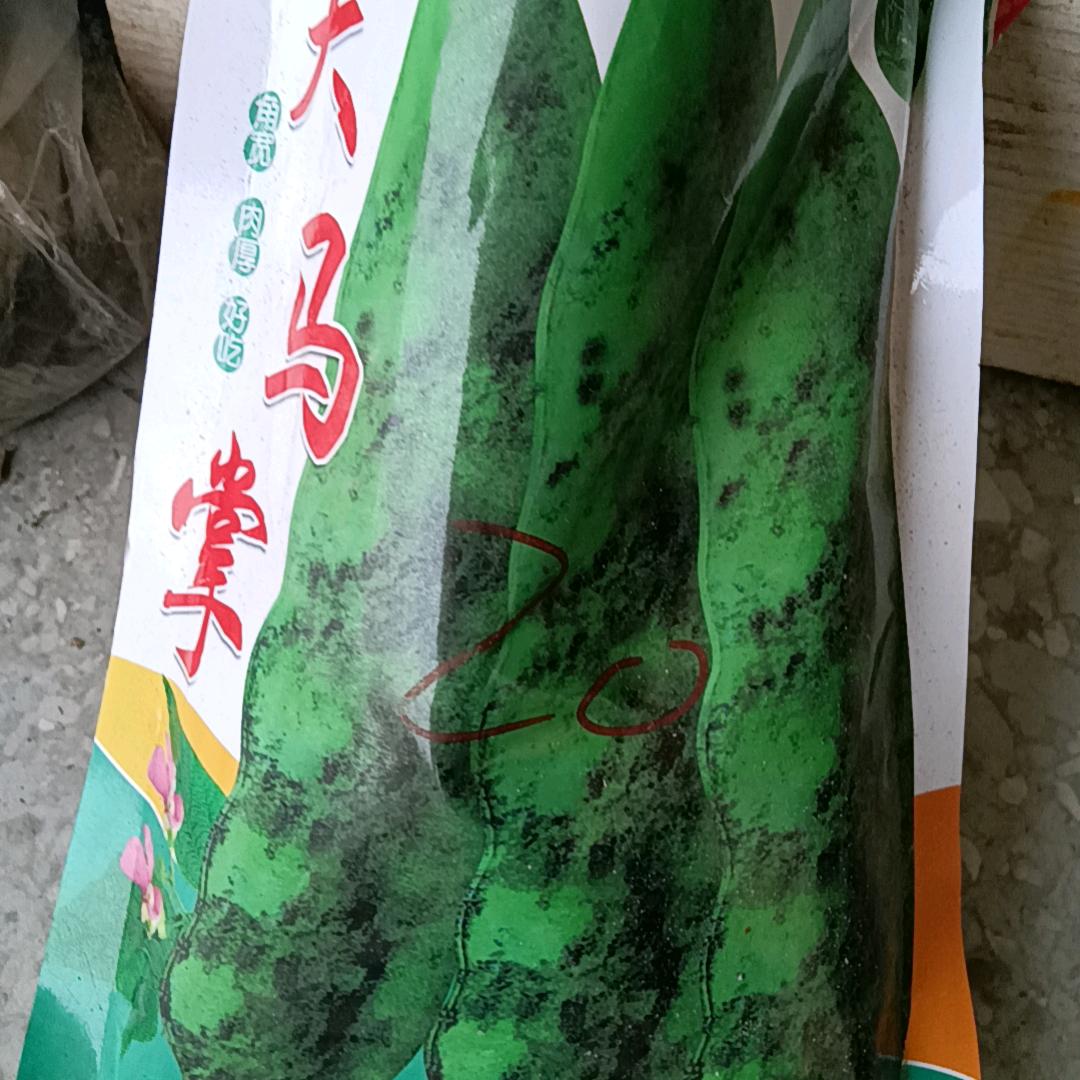 为了他人，伤了自己。大家说直不直得