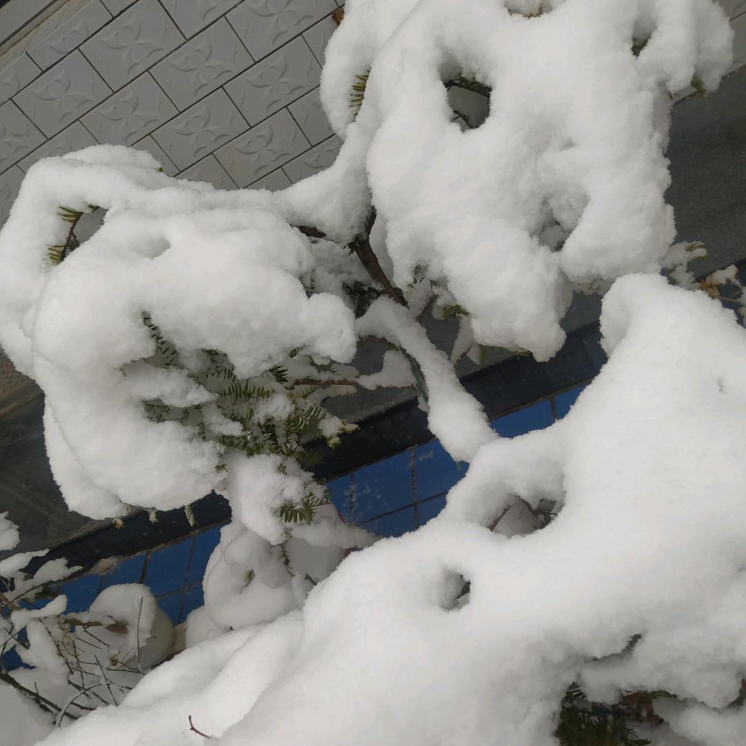 时间过得真快