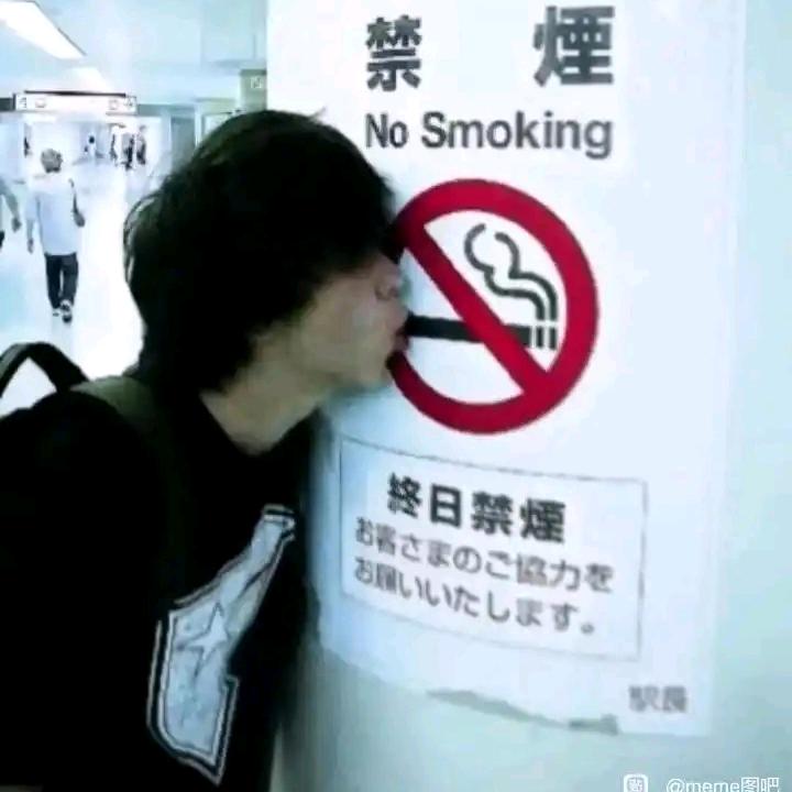 哇塞(✪▽✪)