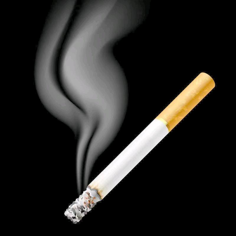 🐸丐帮帮主🐵