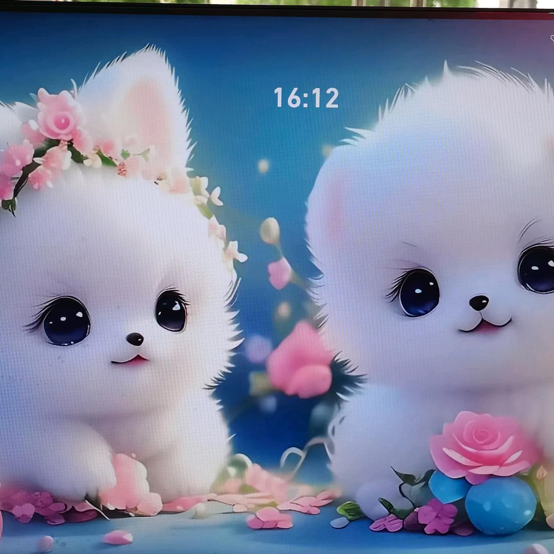 🍀龚🌹成🌹名🌹就🌴（橱窗好物）