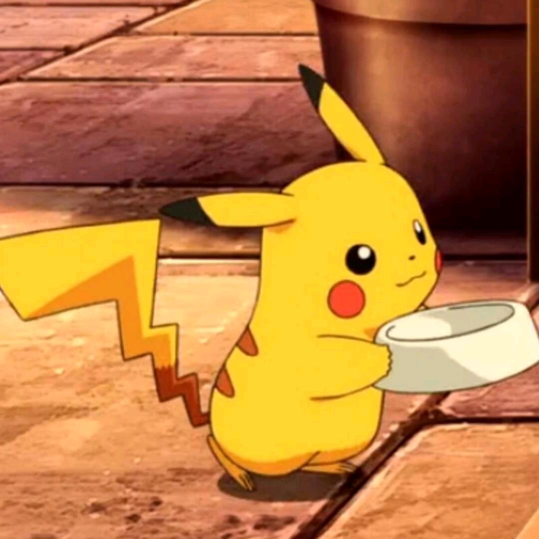 栗子家的小松鼠